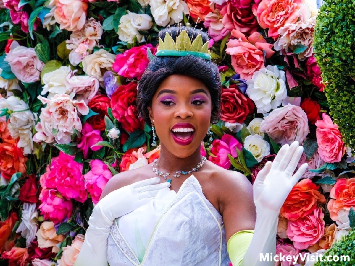 Princess Tiana character