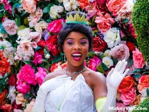Princess Tiana character