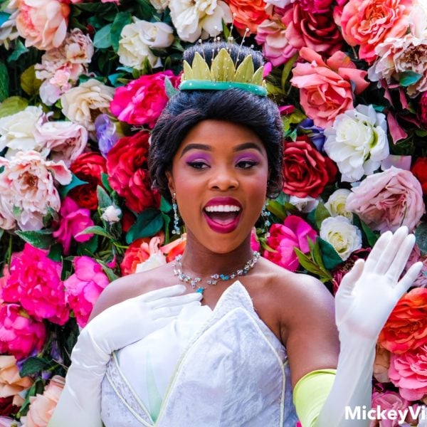 Princess Tiana character
