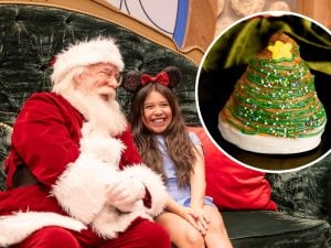 Santa smiling