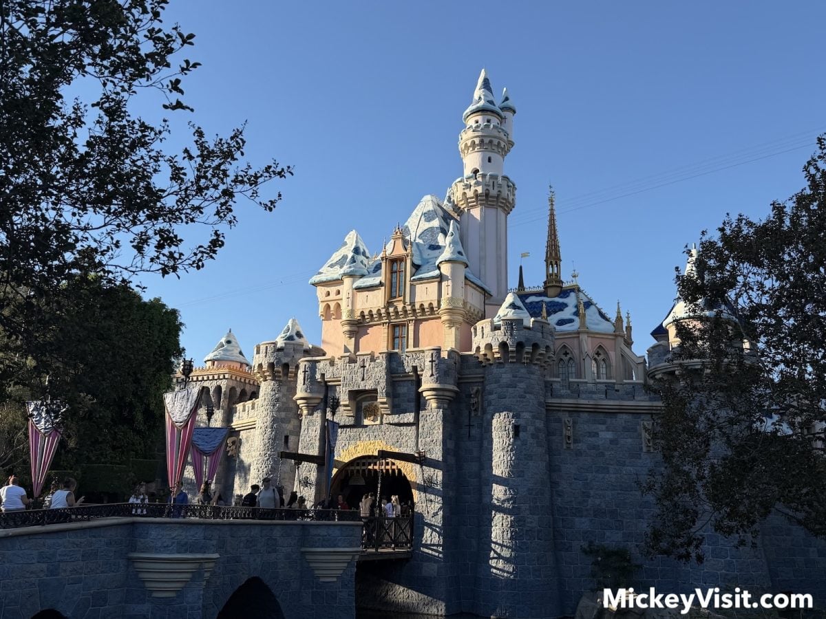 Sleeping Beauty Castle with fake snow