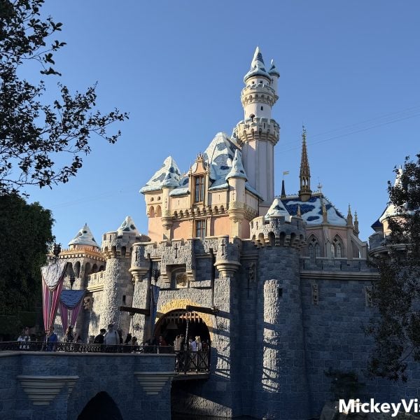 Sleeping Beauty Castle with fake snow