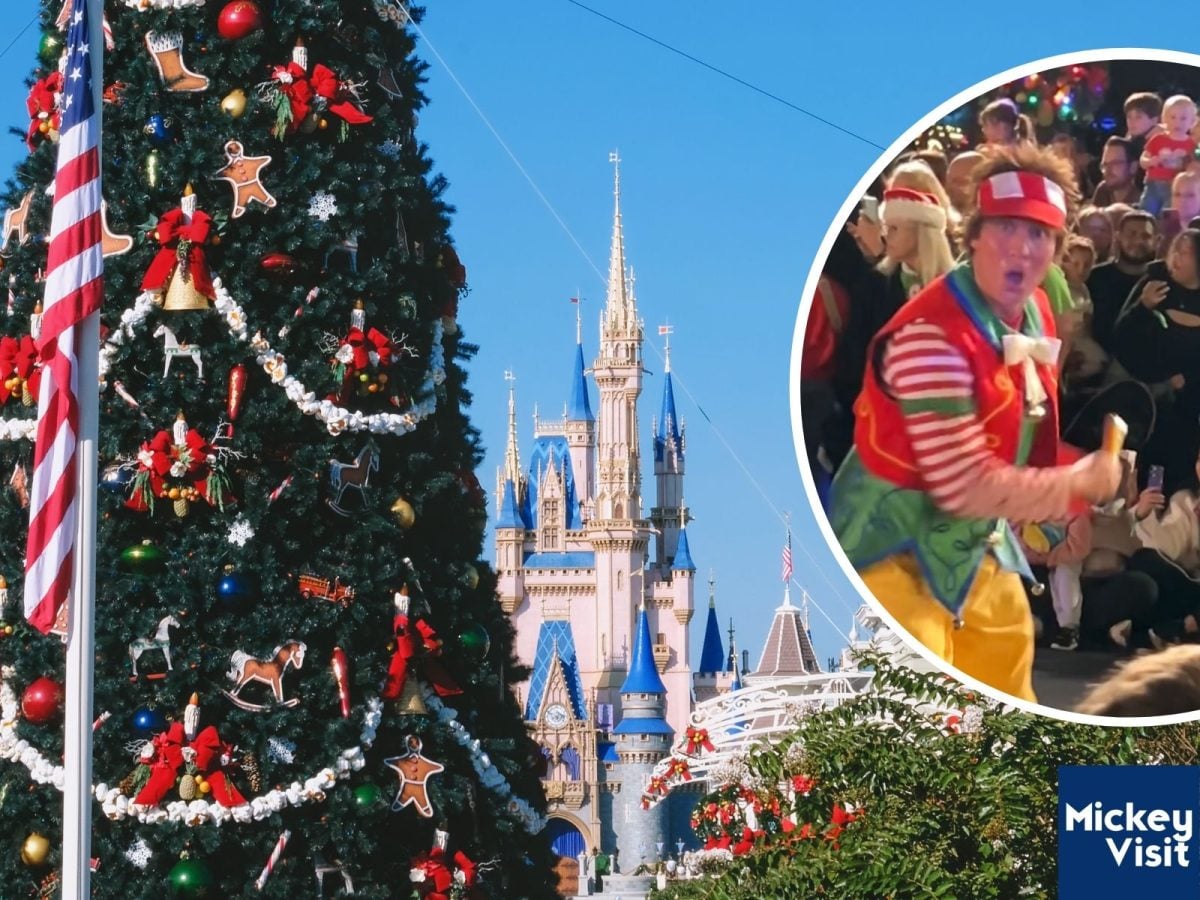 Cinderella Castle, Christmas tree, and Tally the elf