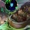 Disney World’s Massive New Villains Land Is Taking Shape With 2 Major New Rides