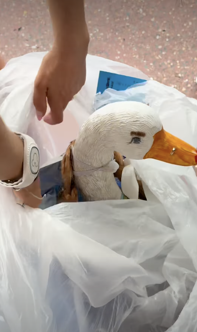 Porch Goose Disney