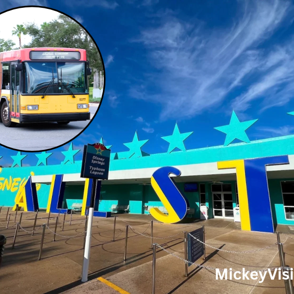 Disney bus transportation