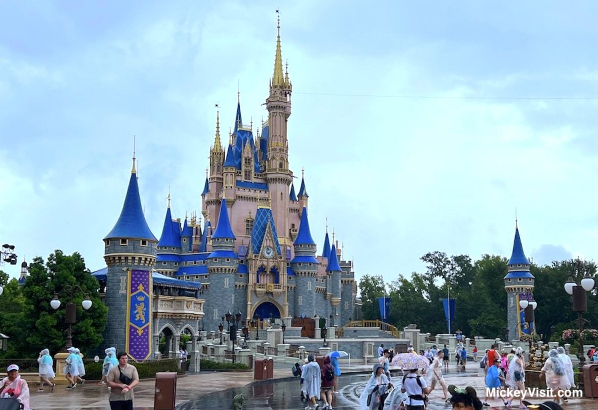 Disney world gray rain