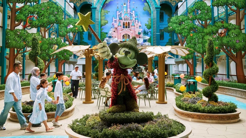 Disney Adventure Cruise