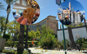 anaheim garden grove deltas hotel