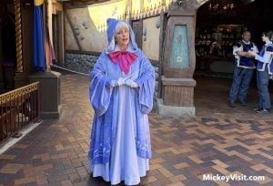 Fairy Godmother