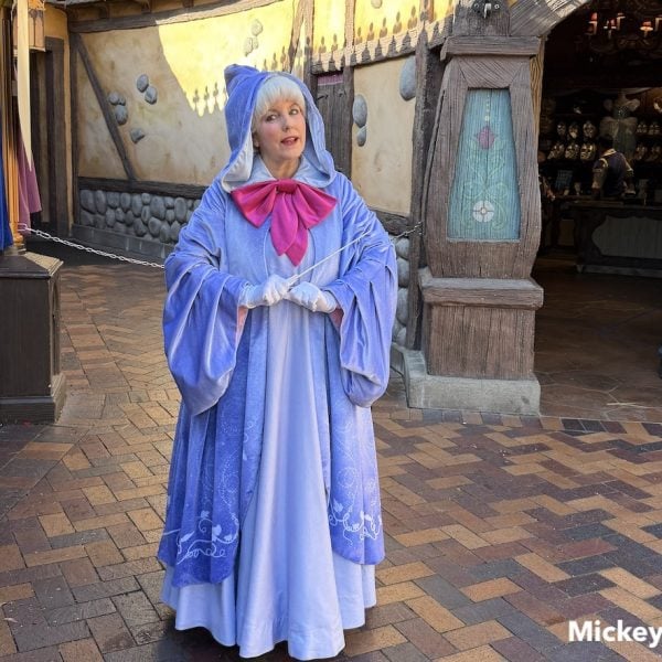 Fairy Godmother
